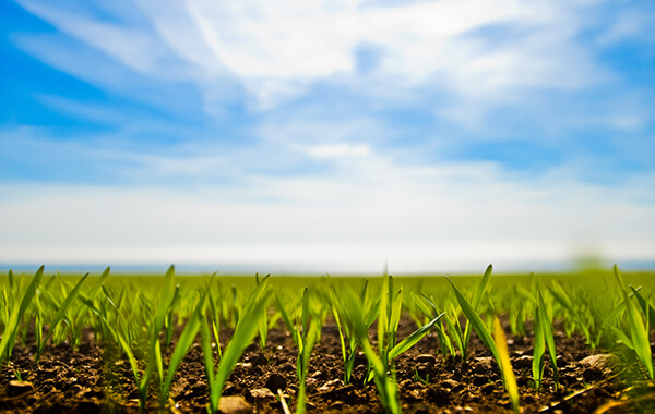 GASÓLEO  B AGROMAX