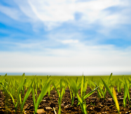 Gasóleo Agromax